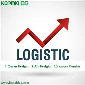 Контейнер 20 футов LCL FCL Amazon Logistics