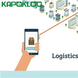 Агент доставки LCL FCL Китай в США DDP